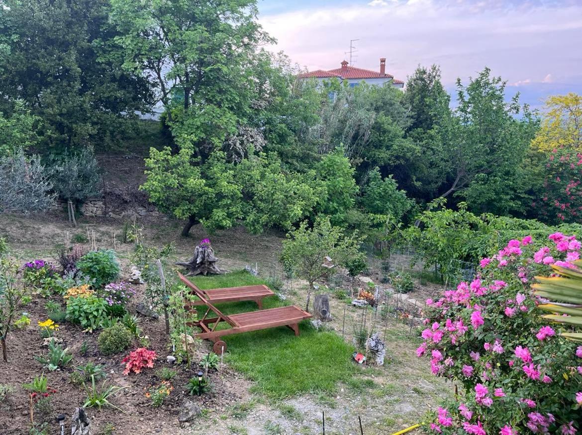 Apartment Vella Capodistria Esterno foto
